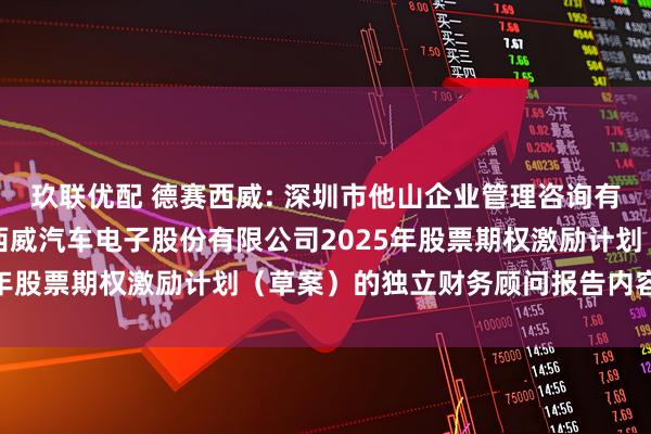 玖联优配 德赛西威: 深圳市他山企业管理咨询有限公司关于惠州市德赛西威汽车电子股份有限公司2025年股票期权激励计划（草案）的独立财务顾问报告内容摘要