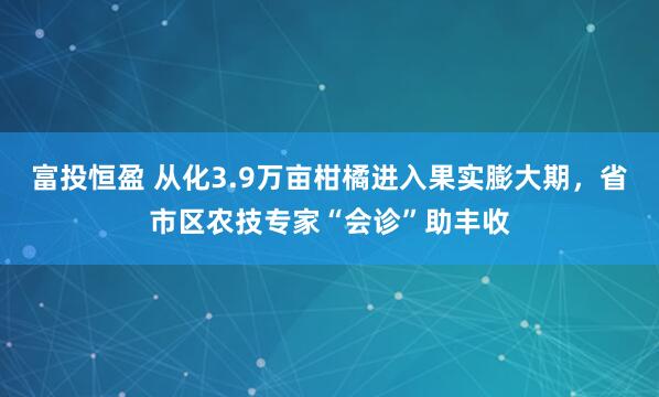 富投恒盈 从化3.9万亩柑橘进入果实膨大期，省市区农技专家“会诊”助丰收