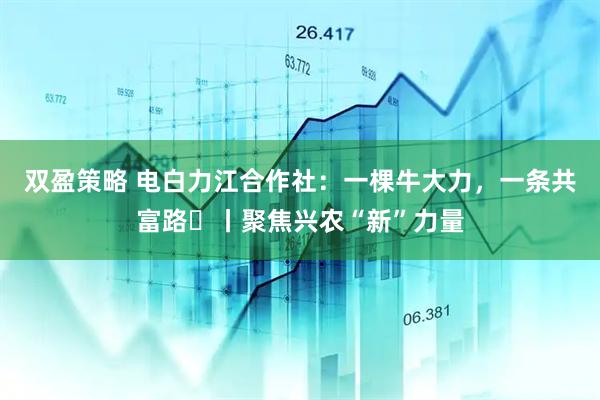 双盈策略 电白力江合作社：一棵牛大力，一条共富路㉕丨聚焦兴农“新”力量